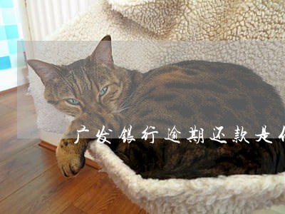 广发银行逾期还款是什么意思
