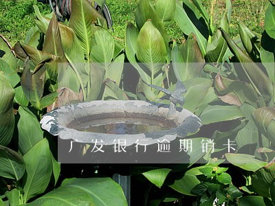 广发银行逾期销卡 广发银行逾期销卡