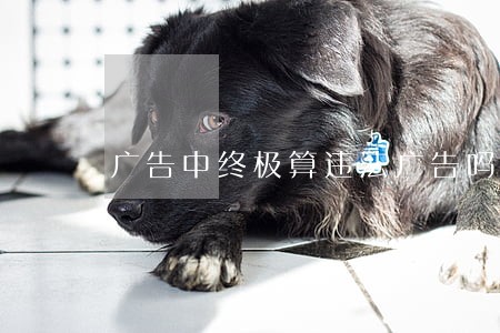 广告中终极算违法广告吗 广告中终极算违法广告吗