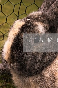 广告伦理与法规书答案 广告伦理与法规书答案