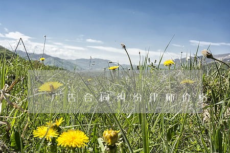 广告合同纠纷律师价格 广告合同纠纷律师价格