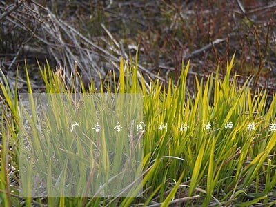 广告合同纠纷律师推荐 广告合同纠纷律师推荐