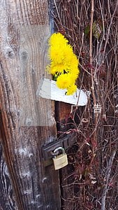 广告怎么网上接单 广告怎么网上接单
