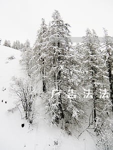 广告法法律咨询 广告法法律咨询
