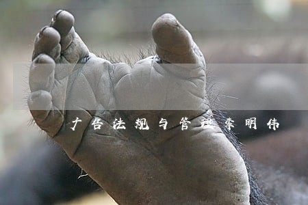 广告法规与管理李明伟 广告法规与管理李明伟