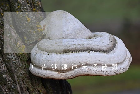 广告涉嫌违法将被罚 广告涉嫌违法将被罚