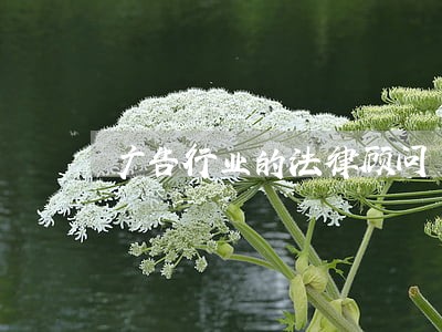 广告行业的法律顾问 广告行业的法律顾问