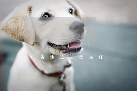 广告违法法律责任 广告违法法律责任