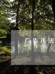 广告违法被罚60万