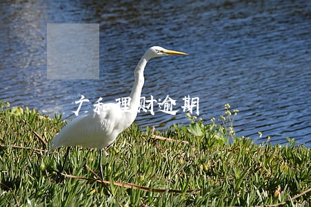 广和理财逾期 广和理财逾期