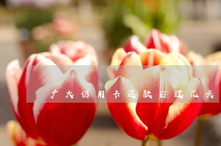 广大信用卡还款日过几天算逾期 广大信用卡还款日过几天算逾期