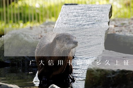 广大信用卡逾期多久上征信 广大信用卡逾期多久上征信