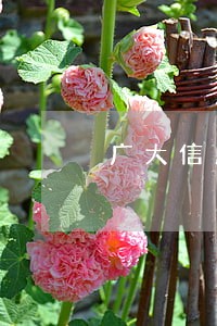 广大信用卡逾期多少天封卡