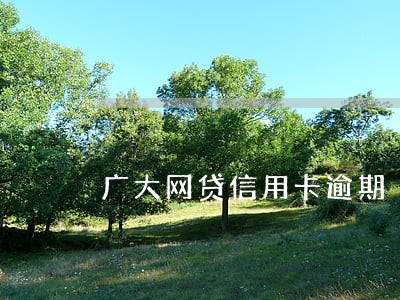 广大网贷信用卡逾期 广大网贷信用卡逾期