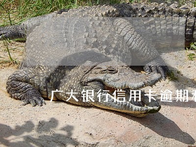 广大银行信用卡逾期利息怎么算
