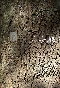 广大银行信用卡逾期多久封卡 广大银行信用卡逾期多久封卡