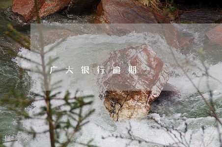 广大银行逾期 广大银行逾期