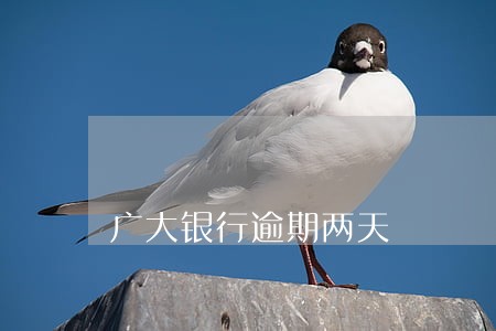 广大银行逾期两天 广大银行逾期两天