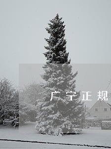 广宁正规法律咨询哪个好 广宁正规法律咨询哪个好