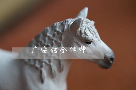 广安信合律师