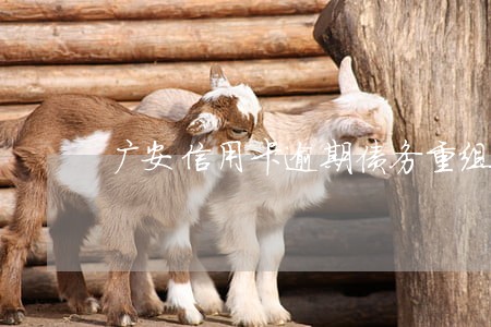 广安信用卡逾期债务重组怎么协商 广安信用卡逾期债务重组怎么协商