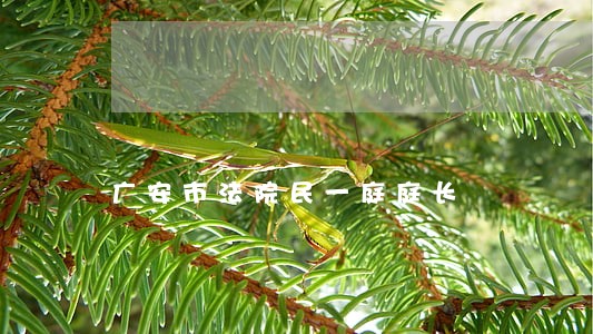 广安市法院民一庭庭长 广安市法院民一庭庭长