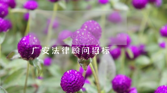 广安法律顾问招标 广安法律顾问招标