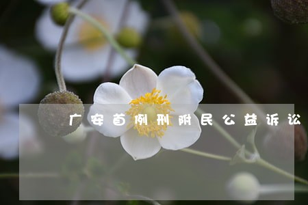 广安首例刑附民公益诉讼 广安首例刑附民公益诉讼