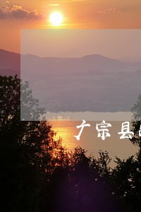 广宗县融资借款在线律师 广宗县融资借款在线律师