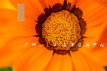 广州110法律咨询中心 广州110法律咨询中心