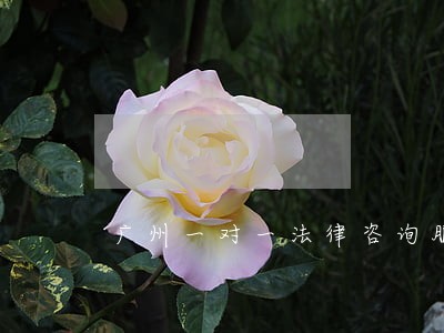广州一对一法律咨询服务 广州一对一法律咨询服务