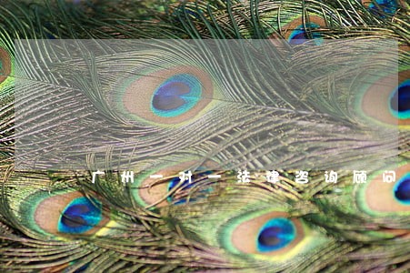 广州一对一法律咨询顾问 广州一对一法律咨询顾问