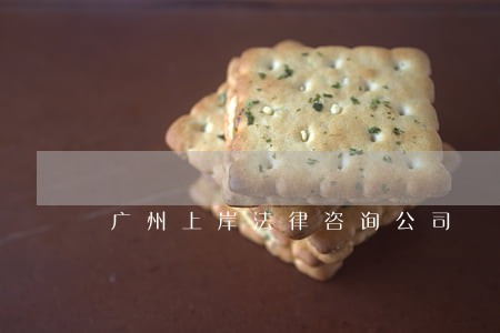广州上岸法律咨询公司 广州上岸法律咨询公司