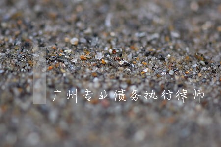广州专业债务执行律师 广州专业债务执行律师