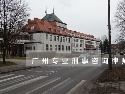 广州专业刑事咨询律师 广州专业刑事咨询律师