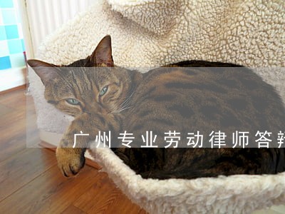 广州专业劳动律师答辩应诉 广州专业劳动律师答辩应诉