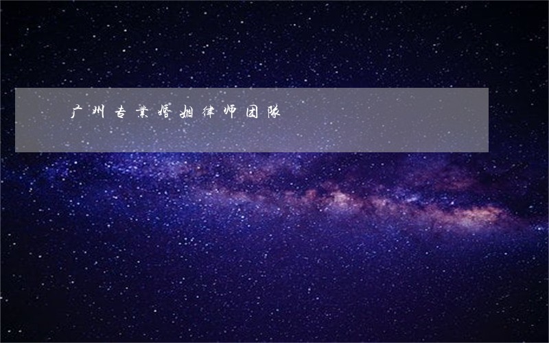 广州专业婚姻律师团队 广州专业婚姻律师团队