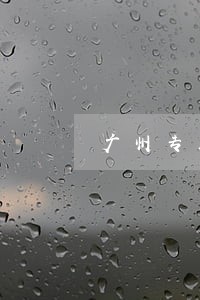 广州专业律师怎么收费 广州专业律师怎么收费
