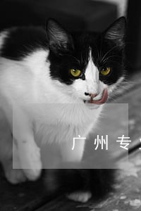 广州专业房产律师团预约 广州专业房产律师团预约
