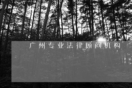 广州专业法律顾问机构 广州专业法律顾问机构