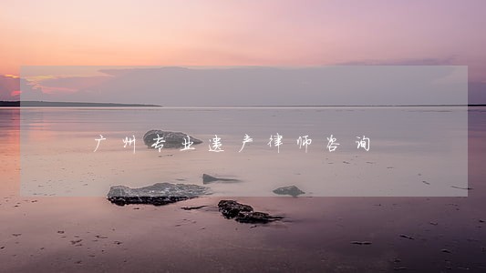 广州专业遗产律师咨询 广州专业遗产律师咨询