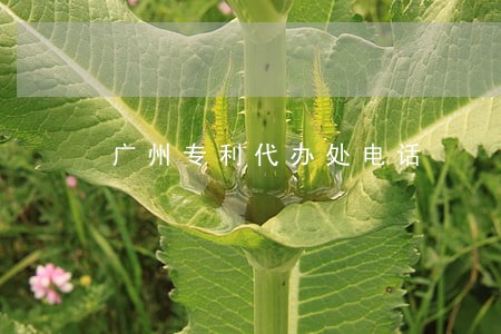 广州专利代办处电话 广州专利代办处电话