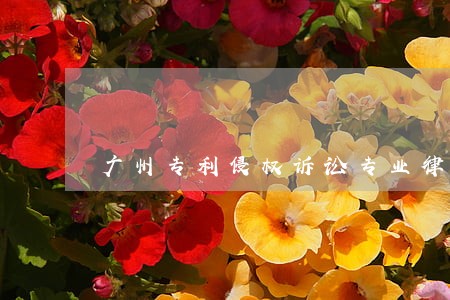广州专利侵权诉讼专业律师 广州专利侵权诉讼专业律师