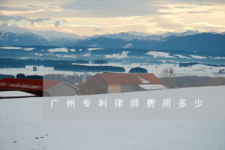 广州专利律师费用多少 广州专利律师费用多少