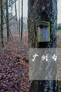 广州专办离婚诉讼律师 广州专办离婚诉讼律师