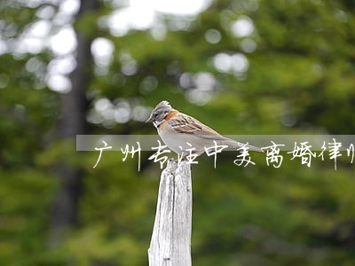 广州专注中美离婚律师 广州专注中美离婚律师