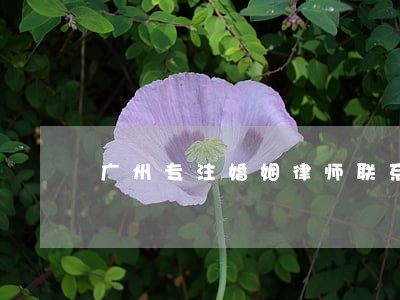 广州专注婚姻律师联系方式 广州专注婚姻律师联系方式