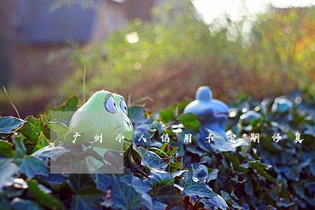 广州个人信用卡逾期修复中心 广州个人信用卡逾期修复中心