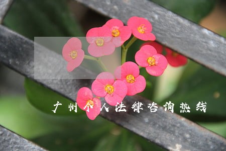 广州个人法律咨询热线 广州个人法律咨询热线