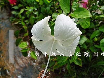 广州中级人民法院刑场在哪里